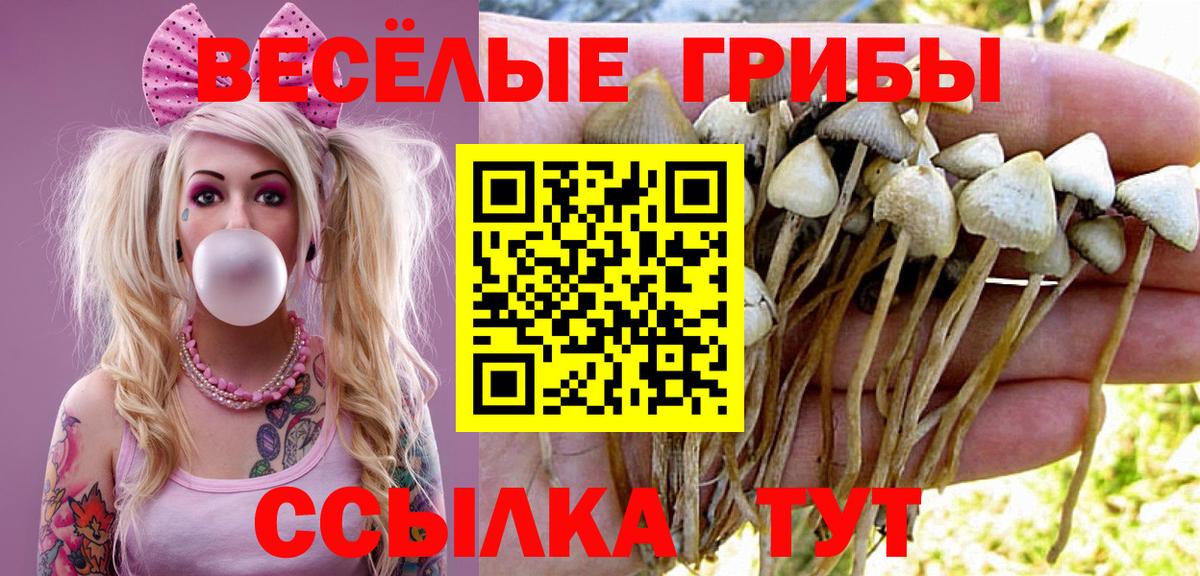 Трёхгорный  Галлюциногенные грибы GOLDEN TEACHER  Вход с VPN 